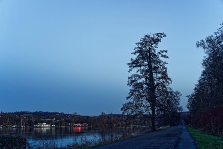 wa DSC07224 A7r II + Pancolar Zebra 1,8 50mm_DXOBorkum14 angep(c) P Pfeiffer.jpg