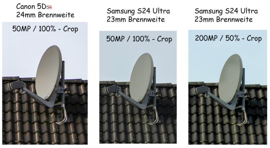 Crop 01.jpg Crop 01.jpg