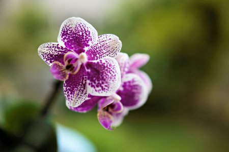 small_1500_DSC07528-Bearbeitet-Bearbeitet.jpg small_1500_DSC07528-Bearbeitet-Bearbeitet.jpg