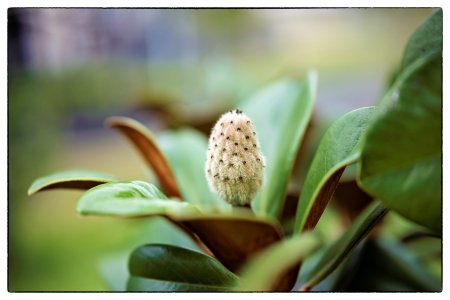 small_1500_DSC07544-Bearbeitet-Bearbeitet-Bearbeitet.jpg small_1500_DSC07544-Bearbeitet-Bearbeitet-Bearbeitet.jpg