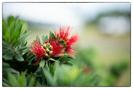 small_1500_DSC07559-Bearbeitet-Bearbeitet.jpg small_1500_DSC07559-Bearbeitet-Bearbeitet.jpg