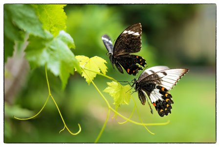 small_1500_DSC07602-Bearbeitet-Bearbeitet-Bearbeitet.jpg small_1500_DSC07602-Bearbeitet-Bearbeitet-Bearbeitet.jpg