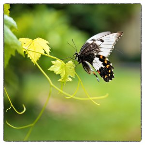 small_1500_DSC07604-Bearbeitet-Bearbeitet-Bearbeitet.jpg small_1500_DSC07604-Bearbeitet-Bearbeitet-Bearbeitet.jpg