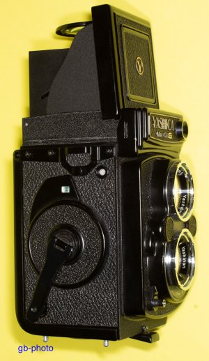 Yasica_1200-2.jpg