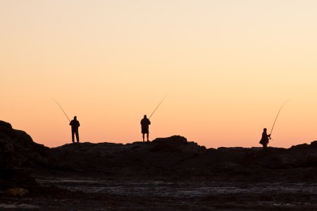 IMG_7340.jpg IMG_7340.jpg