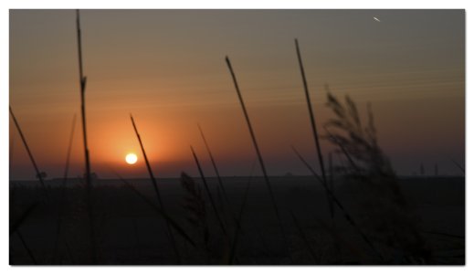 DSC_0085.jpg DSC_0085.jpg