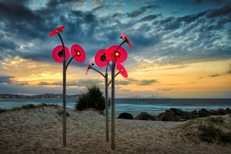 small_1500_DSC03873_1.jpg small_1500_DSC03873_1.jpg