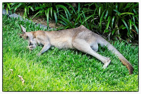 small_1500_7R203512-Bearbeitet-Bearbeitet-Bearbeitet.jpg small_1500_7R203512-Bearbeitet-Bearbeitet-Bearbeitet.jpg