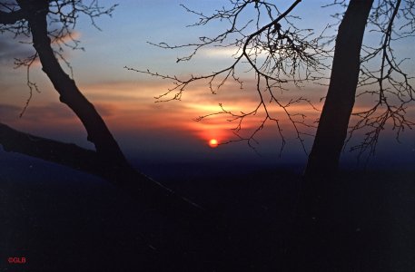 Hoherodskopf-Sonnenuntergang.jpg Hoherodskopf-Sonnenuntergang.jpg