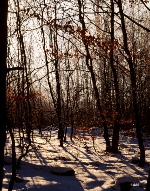 2024-03-21-0003_2000.jpg 2024-03-21-0003_2000.jpg