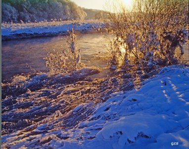 2024-03-27-0001-Am-Fluss_2000-1a.jpg 2024-03-27-0001-Am-Fluss_2000-1a.jpg