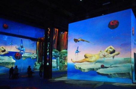 P3152628a_jir.jpg P3152628a_jir.jpg