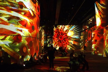 P3152688a_jir.jpg P3152688a_jir.jpg