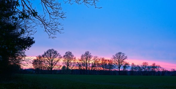 DSC05546 Pancolar 2 50 2erPano Sonnenuntergang _stitchkl .jpg DSC05546 Pancolar 2 50 2erPano Sonnenuntergang _stitchkl .jpg