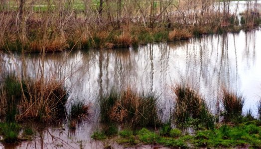 3_river-Ijssel-Tessar_original_size.jpg 3_river-Ijssel-Tessar_original_size.jpg