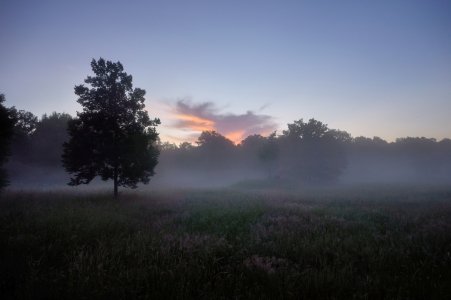 2024-06-25  AM  MORGEN_DSC0457.jpg