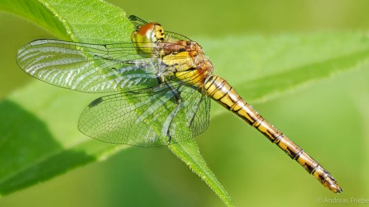 2024-07-16 12-01-00 (C,Smoothing4).jpg