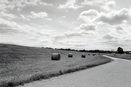 2024-07-17  RADTOUR  PEGAU  AGFA APX 100  BC1_33_WEB.jpg