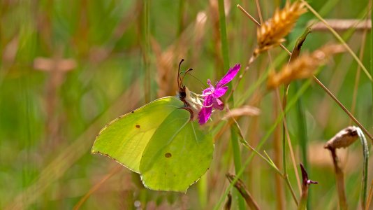 MINI_P1325848PS.jpg MINI_P1325848PS.jpg