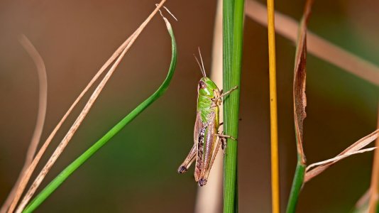 MINI_STACK_P1326079_f.jpg MINI_STACK_P1326079_f.jpg