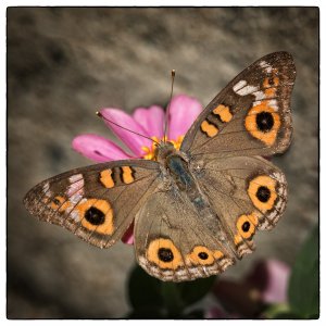 1500_A6505696-Bearbeitet-Bearbeitet-Bearbeitet.jpg 1500_A6505696-Bearbeitet-Bearbeitet-Bearbeitet.jpg