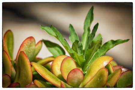 1500_A6505800-Bearbeitet-Bearbeitet.jpg 1500_A6505800-Bearbeitet-Bearbeitet.jpg