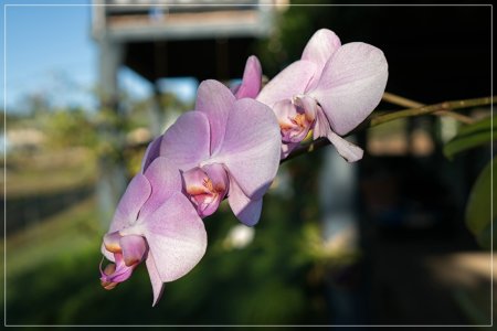 1500_DSC00755.jpg 1500_DSC00755.jpg