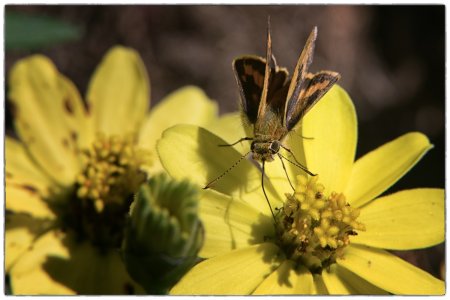1500_DSC00501-Bearbeitet-Bearbeitet.jpg 1500_DSC00501-Bearbeitet-Bearbeitet.jpg