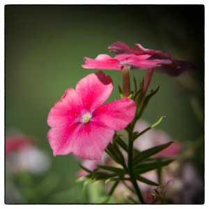 1500_DSC00516-Bearbeitet.jpg 1500_DSC00516-Bearbeitet.jpg