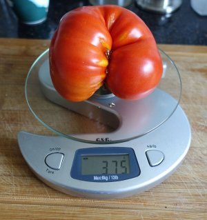 DSC05498.jpg DSC05498.jpg