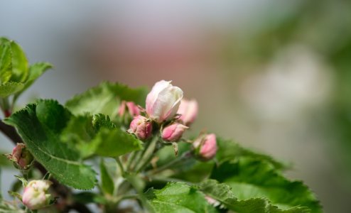 XH2F7446.jpg XH2F7446.jpg