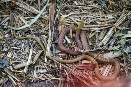 small_7R202804-fertiges JPEG.jpg small_7R202804-fertiges JPEG.jpg