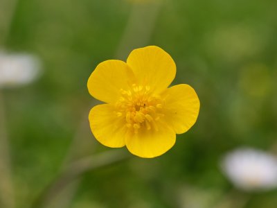 G5RD2071.jpg G5RD2071.jpg