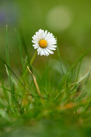 XH2F7665.jpg XH2F7665.jpg