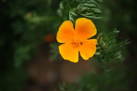 XH2F9500.jpg XH2F9500.jpg