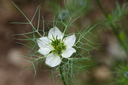 XH2F9612.jpg XH2F9612.jpg