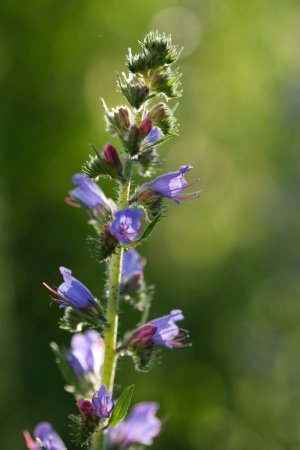 XH2F9721.jpg XH2F9721.jpg