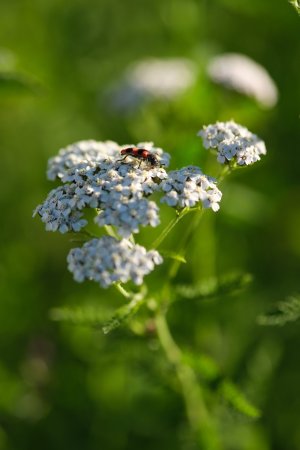 XH2F9747.jpg XH2F9747.jpg