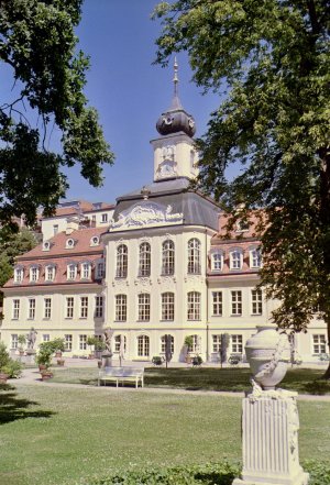 KODAK GOLD 200_008.jpg