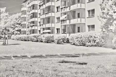 SDIM0011.jpg SDIM0011.jpg