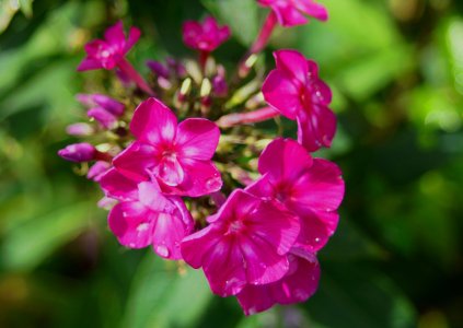 Unbenannt.jpg Unbenannt.jpg