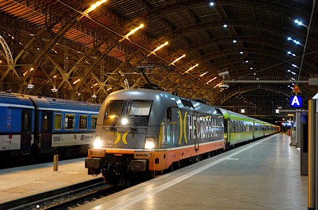 _DSC0083-GIMP-WEB.JPG _DSC0083-GIMP-WEB.JPG