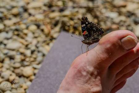 DSC_6125-Verbessert-RR_klein.jpg DSC_6125-Verbessert-RR_klein.jpg