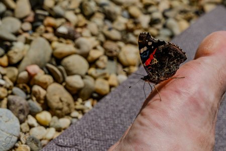 DSC_6127-Verbessert-RR_klein.jpg DSC_6127-Verbessert-RR_klein.jpg