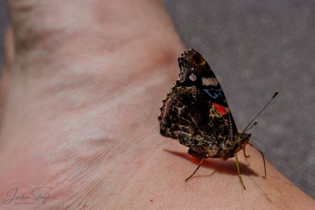 DSC_6130-Verbessert-RR_klein.jpg DSC_6130-Verbessert-RR_klein.jpg