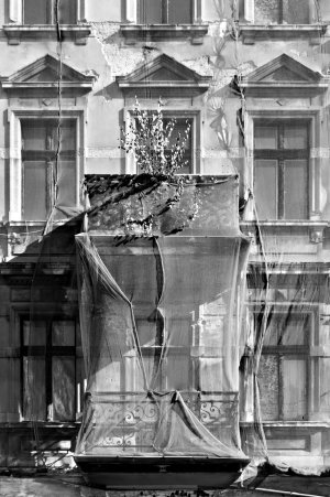 2024-08-20  GÖRLITZ  MIX  SW_DSC0110 1.jpg