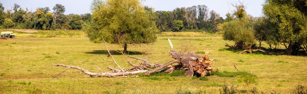 Neues Panorama 4 - fertig.jpg