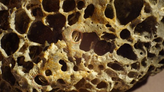 eingeschlossen.jpg eingeschlossen.jpg