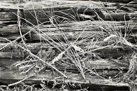 2024-09-06  LDKDSCF0048.jpg