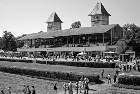 2024-09-08  SCHEIBENHOLZ_SW_SAM0175.jpg